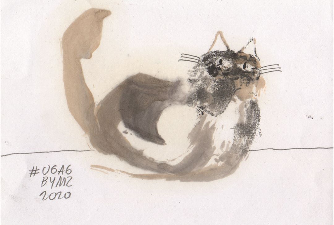 gatto macchia 5 dipinto da mariangela zabatino