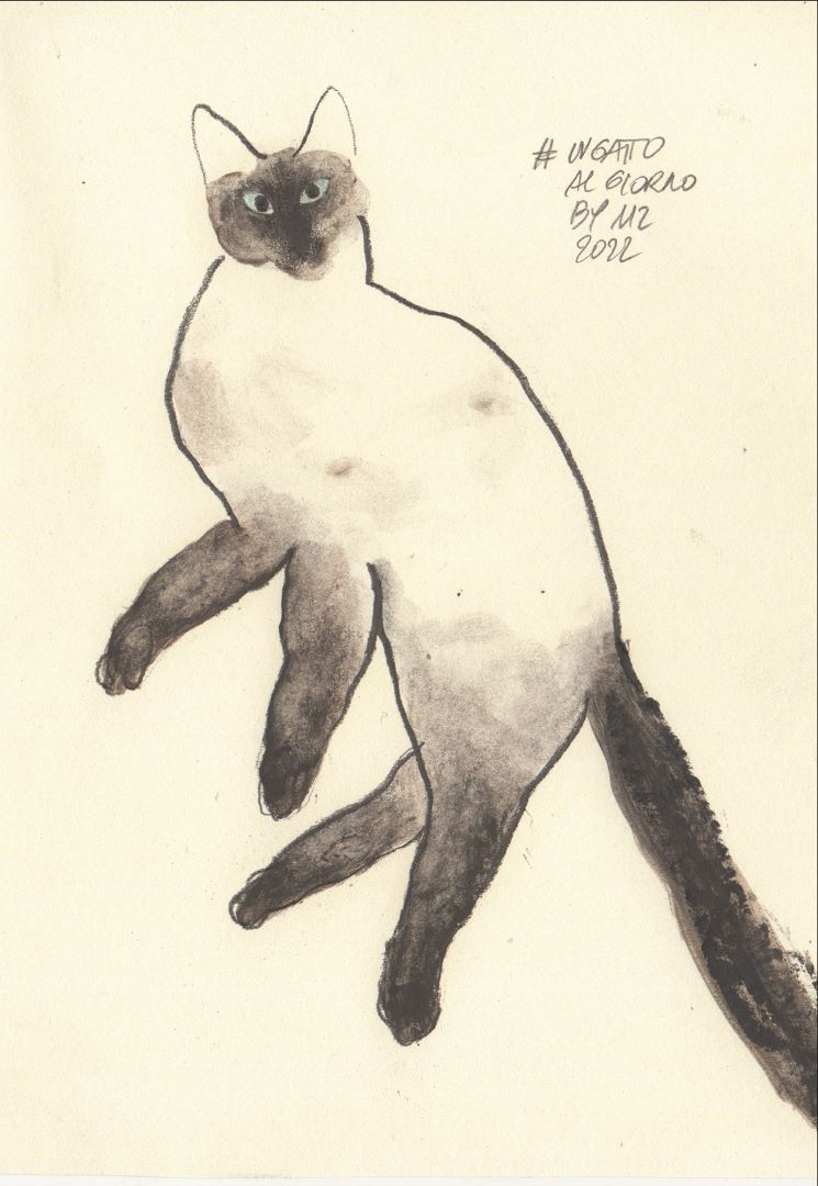 gatto siamese dipinto da mariangela zabatino